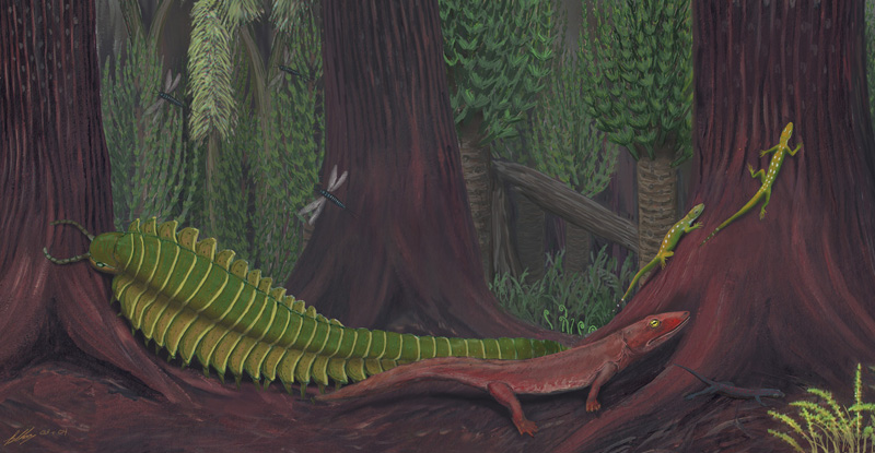 Il Nerd nel Carbonifero Inferiore thumbnail