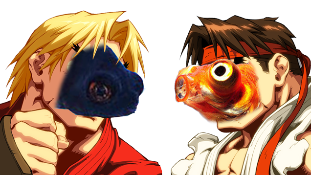 FishPlay Street Fighter: due pesci costretti a combattere thumbnail