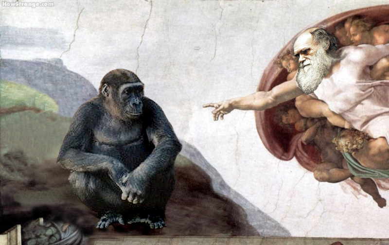 Darwin Day: di scienza, evoluzione e sano scetticismo thumbnail