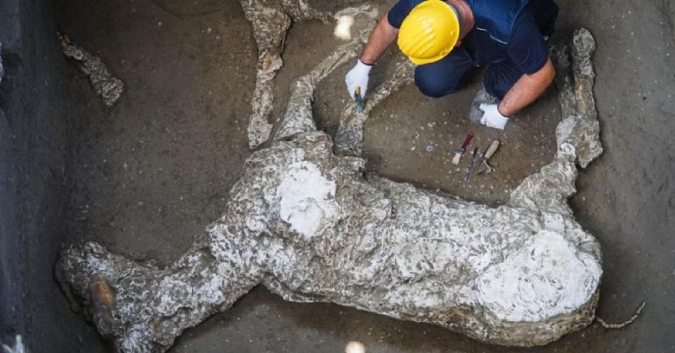 Pompei: scoperti i resti di un cavallo thumbnail