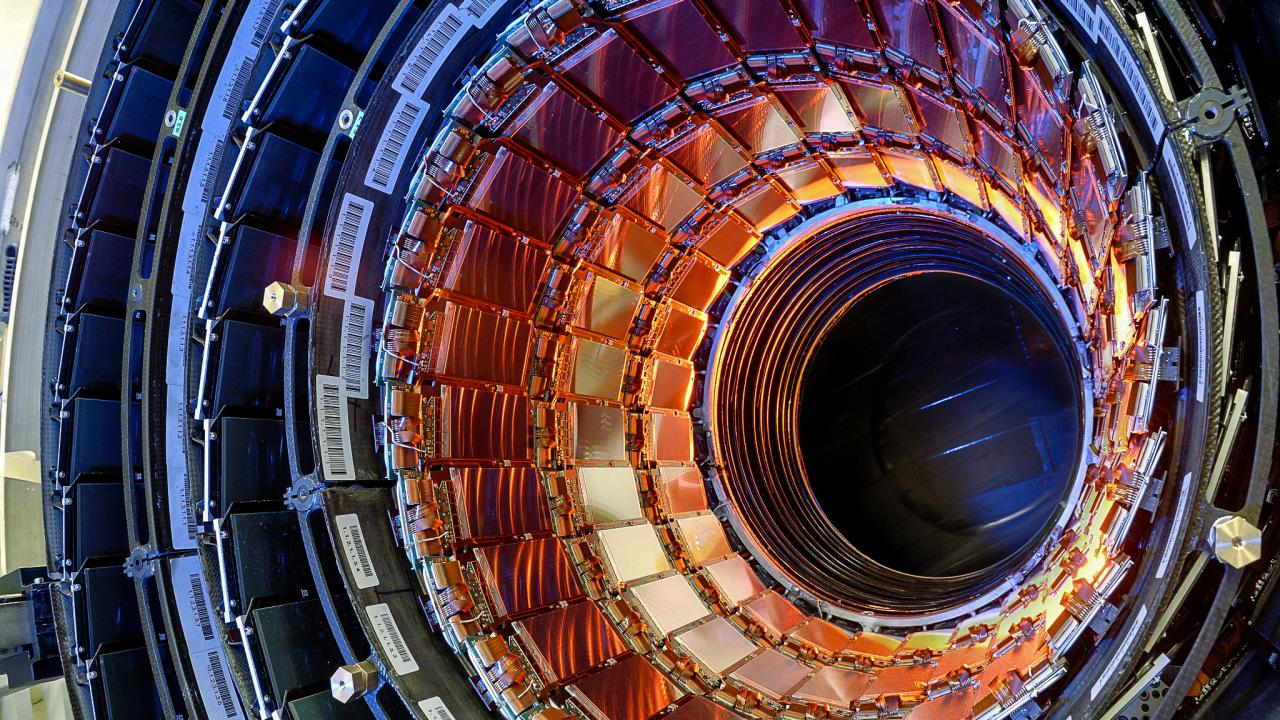 CMS osserva un evento 50 volte più raro del bosone di Higgs: tZq thumbnail