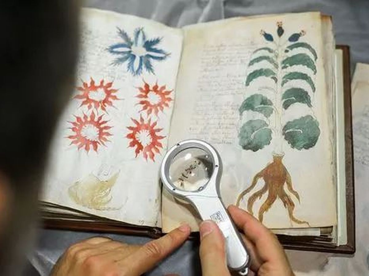 Forse hanno decifrato il Manoscritto Voynich... o forse no thumbnail