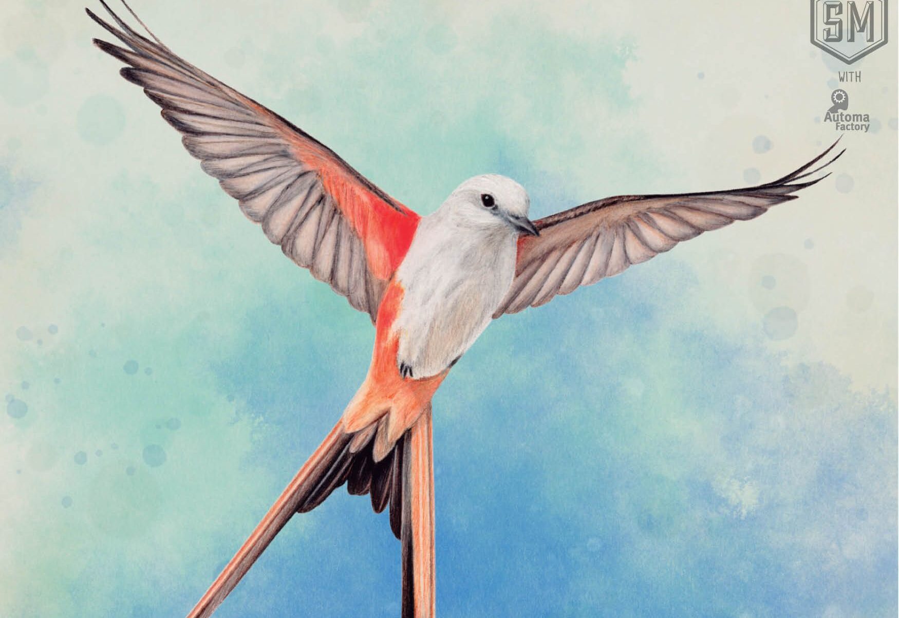 Wingspan: il birdwatching si fa gioco da tavolo thumbnail
