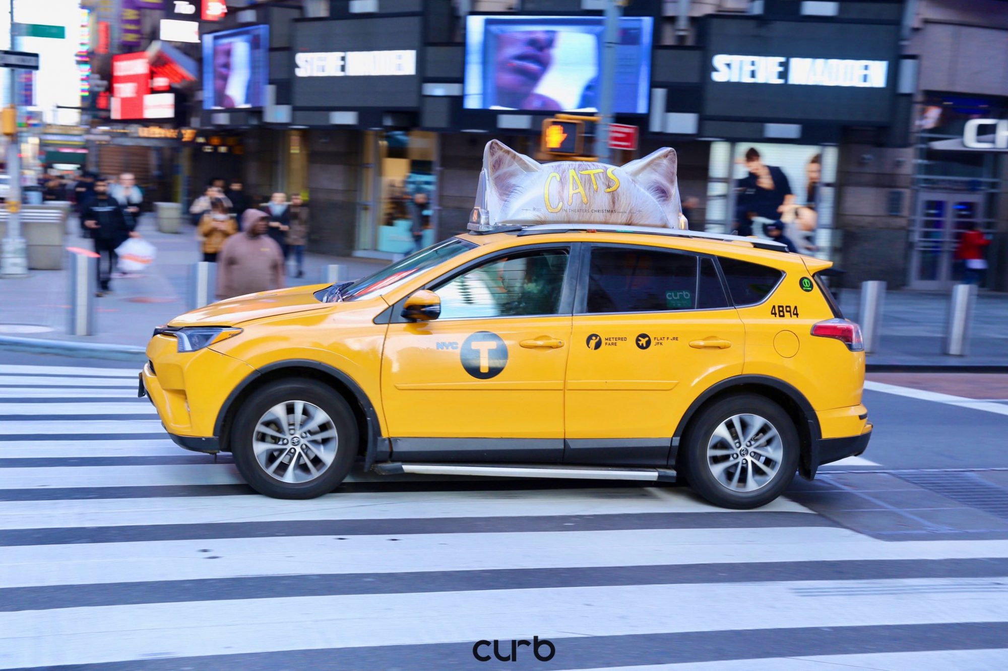 Cats: i taxi di New York e l'insolita campagna pubblicitaria thumbnail