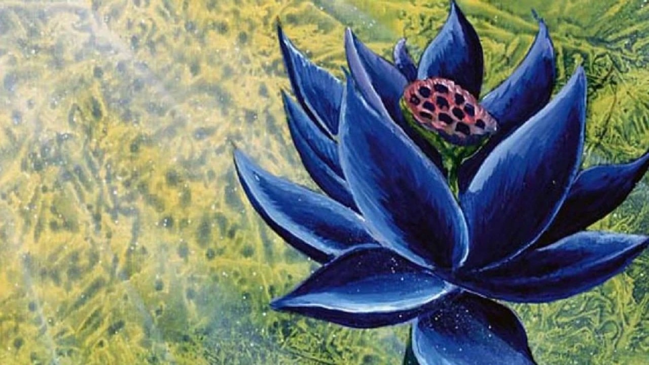 Un Black Lotus sfiora il record di vendita thumbnail