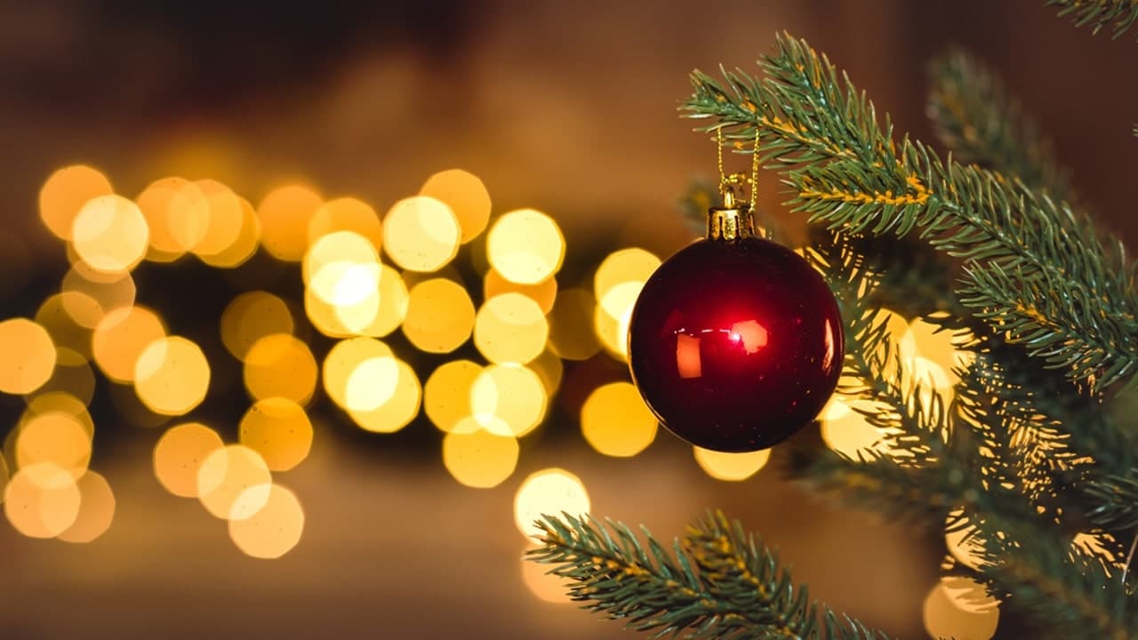 Babbo Natale e la Ricerca dello Spirito Natalizio, il mix fra libro e calendario d'Avvento di QUID+ thumbnail