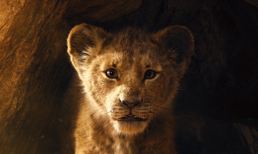 Il Re Leone: Disney promuove la campagna "Proteggi i leoni africani" thumbnail